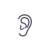 illustration of an ear