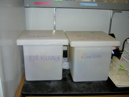 Clearly labeled container that contains bleach