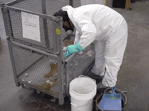 worker in haz mat suit and respirator bent over a salvage cart