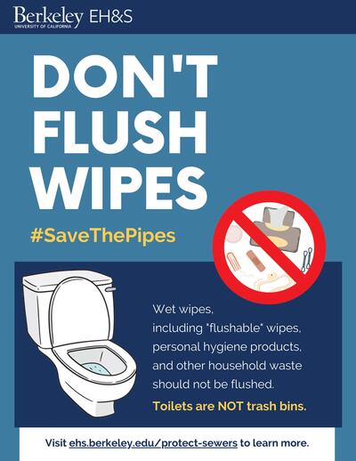 Don't flush wipes flyer